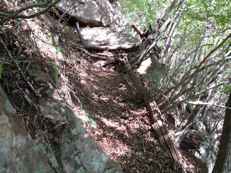 20171012hike (98)